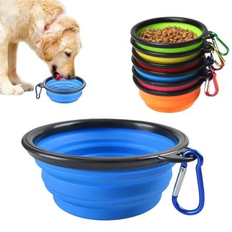 Dog Accessories​